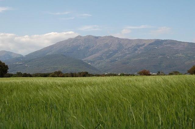 Turo De L'Home Santa Maria de Palautordera Bagian luar foto